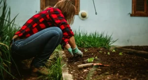 Why Garden Soil Grows a White Mold and Whether Gardeners Should Actually Worry