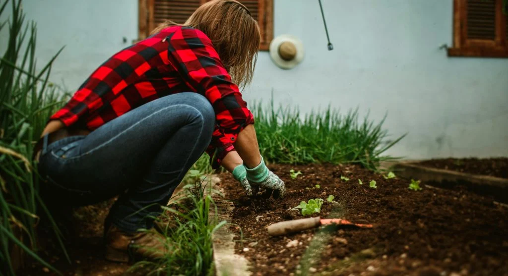 Why Garden Soil Grows a White Mold and Whether Gardeners Should Actually Worry