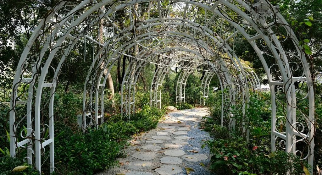 Cattle panel trellis arch installed in a garden bed, ready for vine crops 