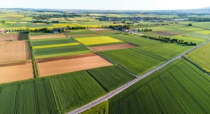 Why Crop Rotation Matters and How to Plan a Simple 4-Year Rotation