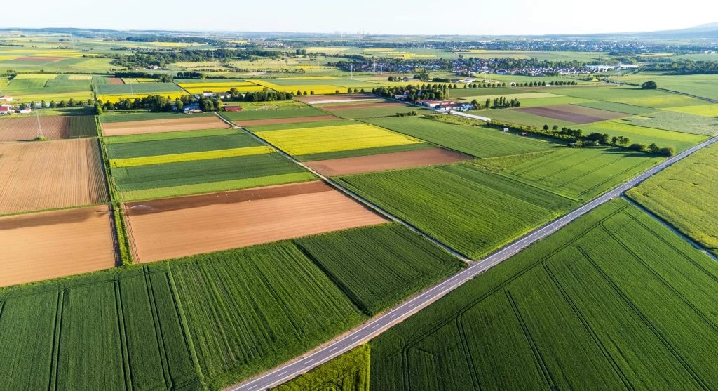 Why Crop Rotation Matters and How to Plan a Simple 4-Year Rotation