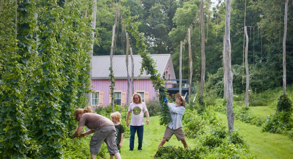 How to Build a Simple Garden Trellis That Supports Any Climbing Vegetable