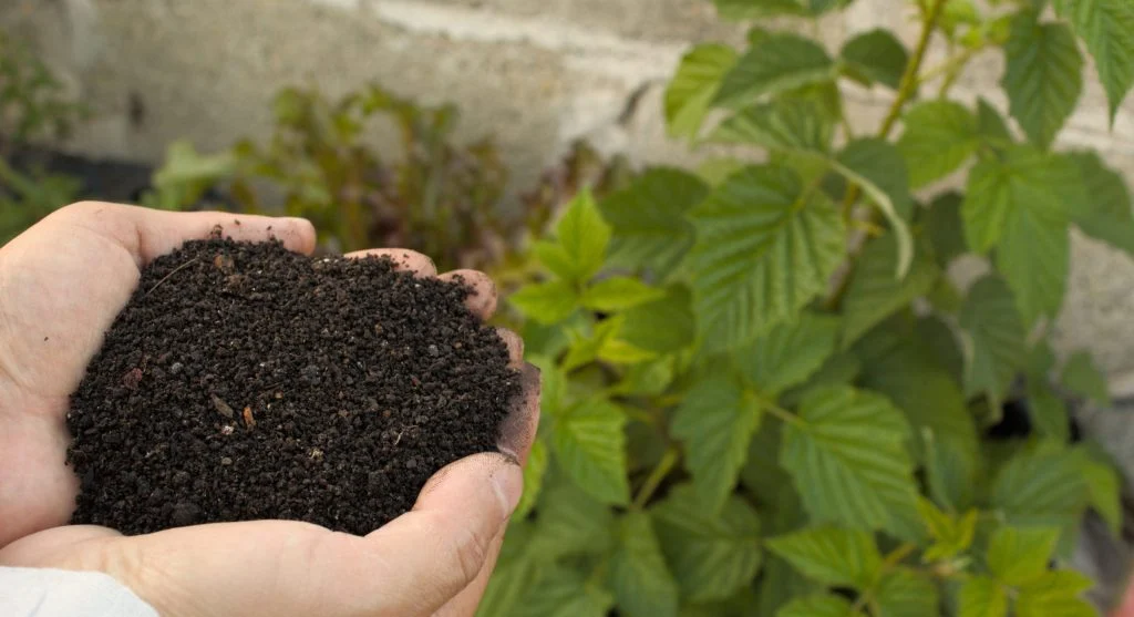Dark, crumbly finished compost being spread across a garden bed surface