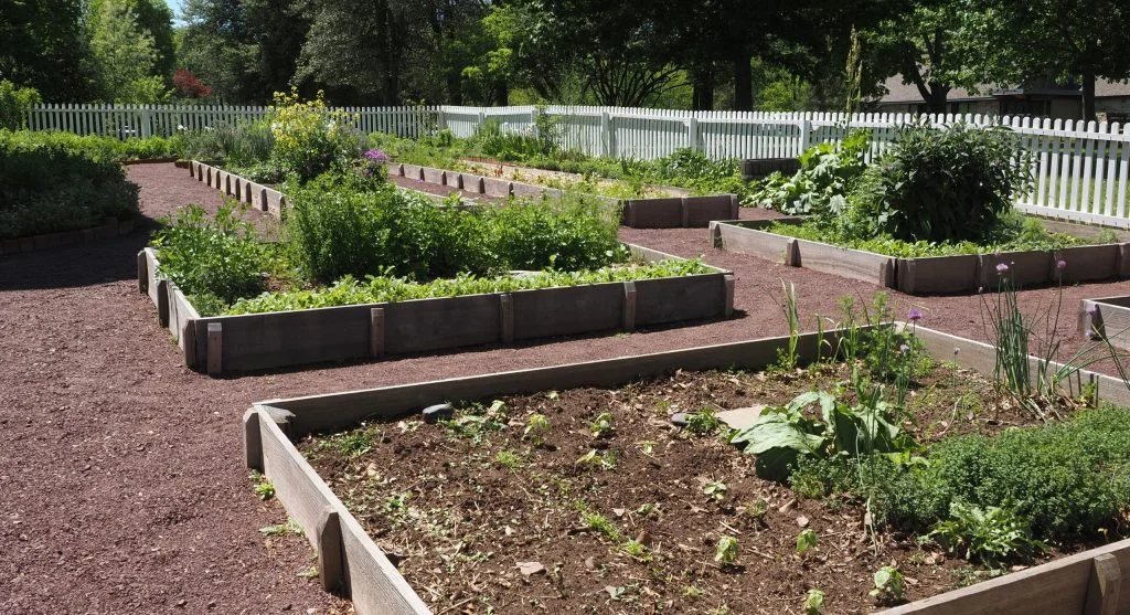 Simple 4x8 raised bed being assembled in a sunny backyard location