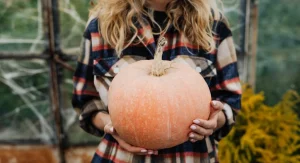 What to Plant in November for the Earliest Possible Spring Harvest