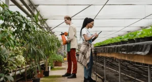 How to Identify and Manage Whiteflies on Vegetable and Ornamental Plants