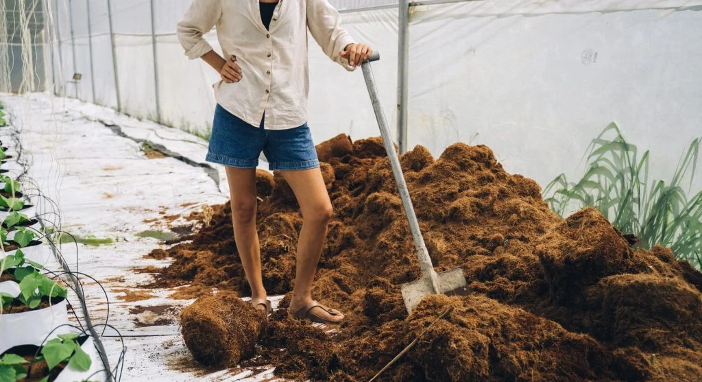 Biochar being mixed with compost before application to a vegetable garden bed