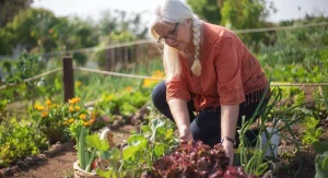 6 Common Mistakes First-Time Vegetable Gardeners Make and How to Avoid Every One