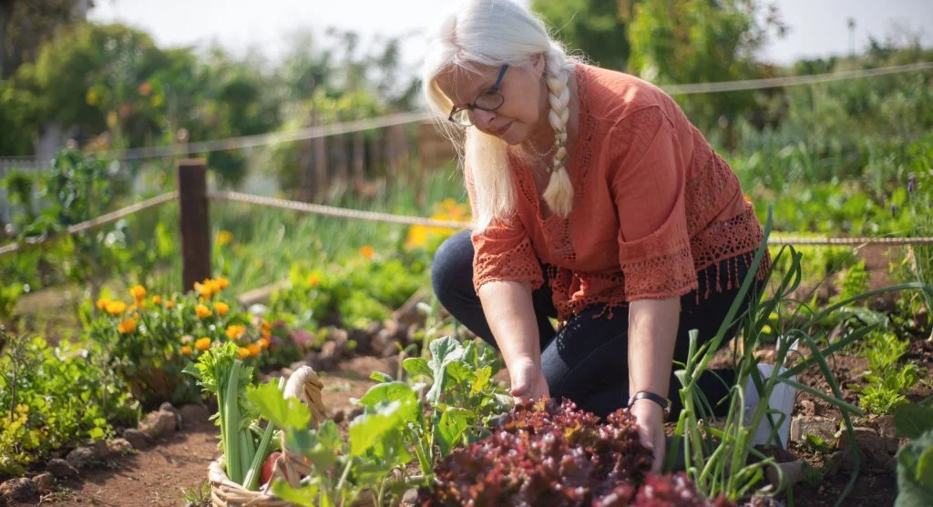 6 Common Mistakes First-Time Vegetable Gardeners Make and How to Avoid Every One