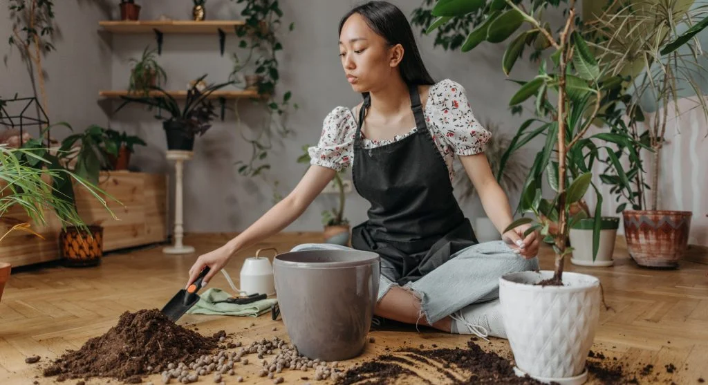 What Perlite, Vermiculite, and Pumice Do in Soil and When to Use Each One